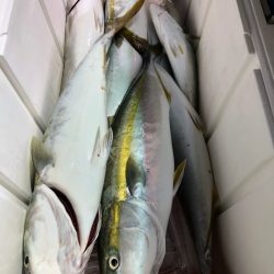 第二八坂丸 釣果