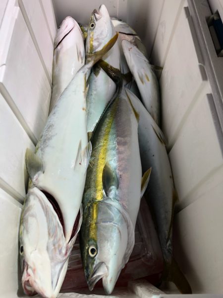 第二八坂丸 釣果