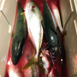 第二八坂丸 釣果