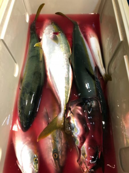 第二八坂丸 釣果