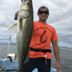 アマテラス 釣果