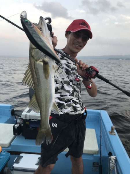 アマテラス 釣果