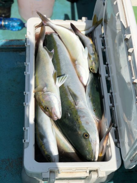 丸万釣船 釣果