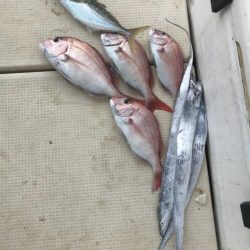 Monster Rush! 釣果