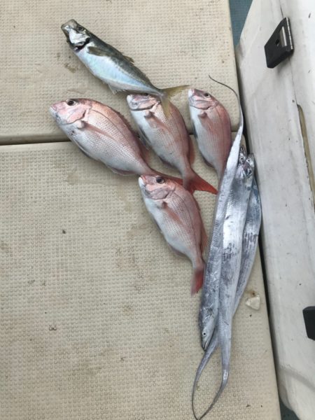 Monster Rush! 釣果