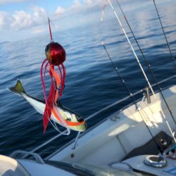 末広丸(熊本) 釣果