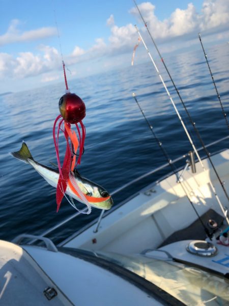 末広丸(熊本) 釣果