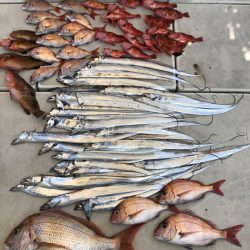 末広丸(熊本) 釣果