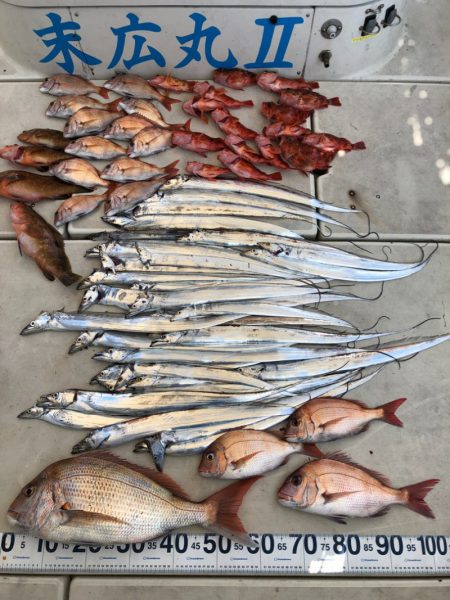 末広丸(熊本) 釣果