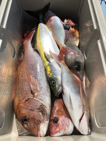 第二八坂丸 釣果