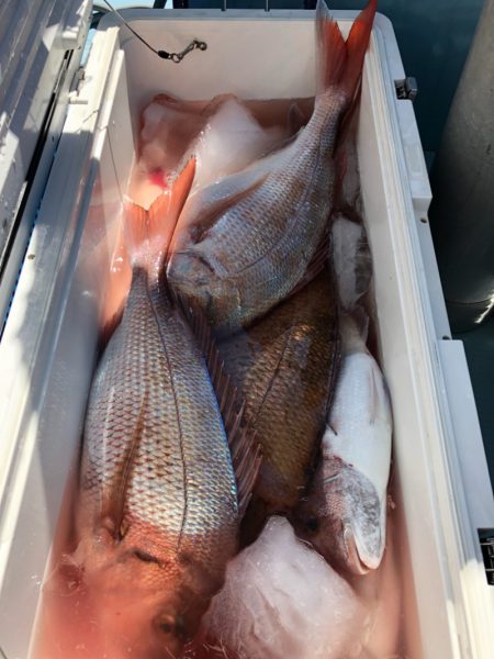 第二八坂丸 釣果