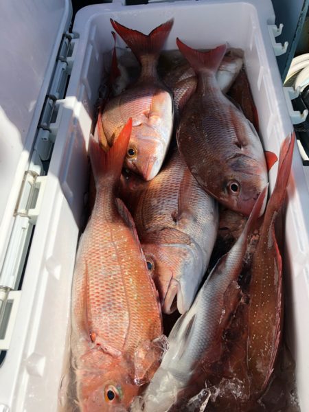 第二八坂丸 釣果