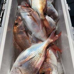 第二八坂丸 釣果