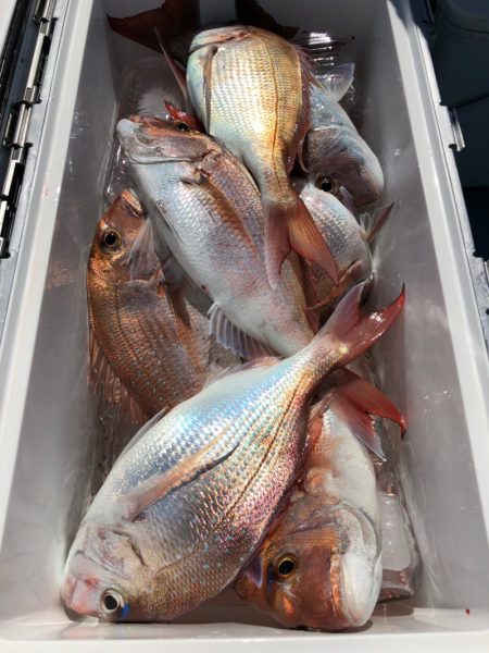 第二八坂丸 釣果