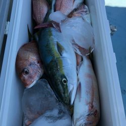 第二八坂丸 釣果