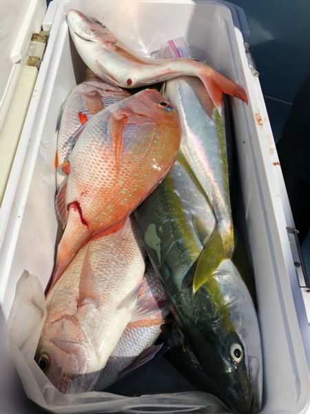 第二八坂丸 釣果