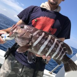 アマテラス 釣果