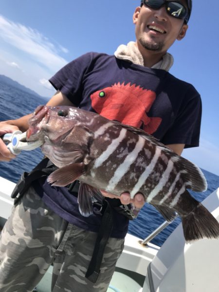 アマテラス 釣果