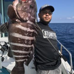 アマテラス 釣果