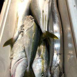 第二八坂丸 釣果