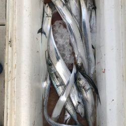 Monster Rush! 釣果