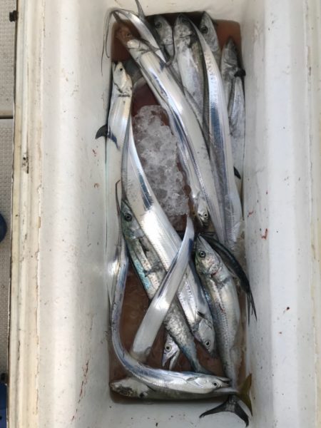 Monster Rush! 釣果