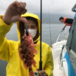 龍神丸(鹿児島) 釣果
