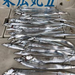 末広丸(熊本) 釣果