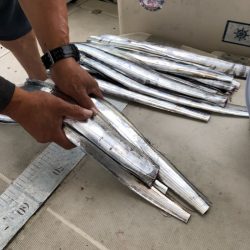 末広丸(熊本) 釣果