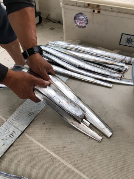 末広丸(熊本) 釣果