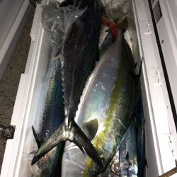 第二八坂丸 釣果