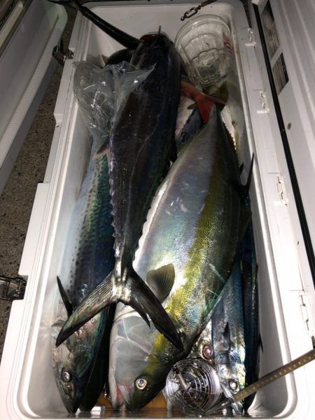 第二八坂丸 釣果