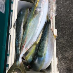 ヤザワ渡船 釣果