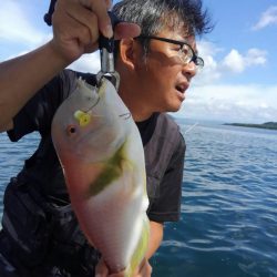 龍神丸(鹿児島) 釣果