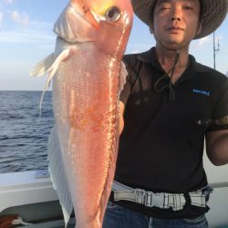 アマテラス 釣果