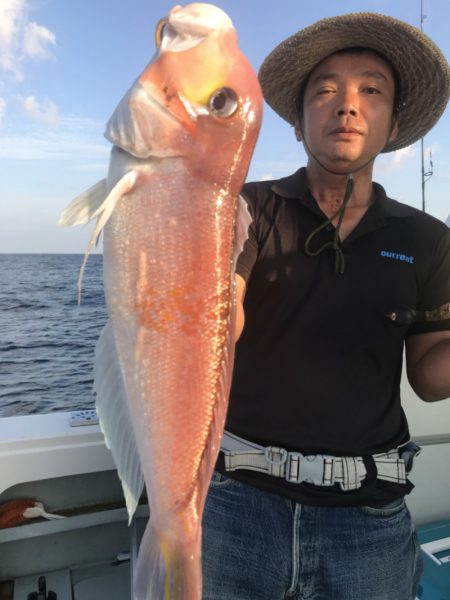 アマテラス 釣果