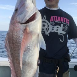 アマテラス 釣果