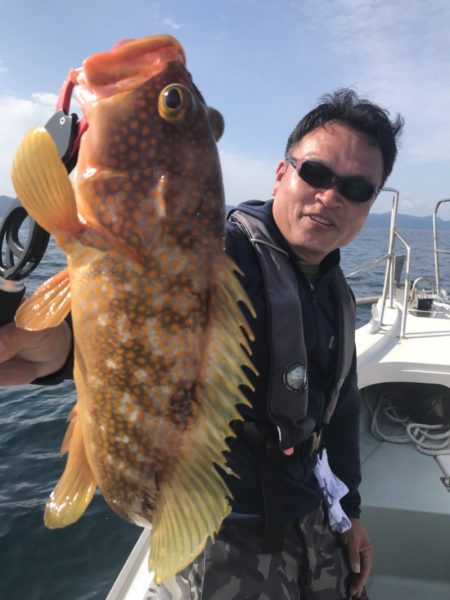 アマテラス 釣果