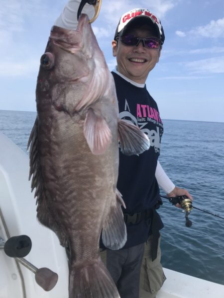 アマテラス 釣果