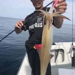 アマテラス 釣果