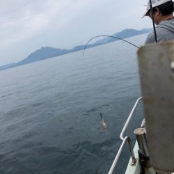 あみや渡船 JIGBOY 釣果