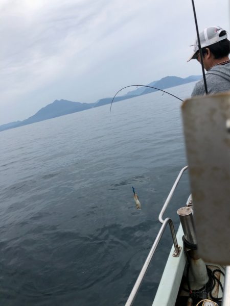 あみや渡船 JIGBOY 釣果