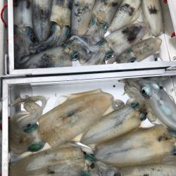 あみや渡船 JIGBOY 釣果