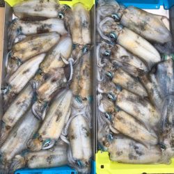 あみや渡船 JIGBOY 釣果