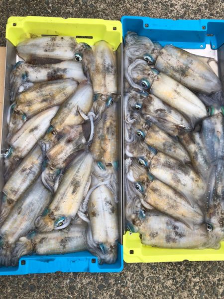 あみや渡船 JIGBOY 釣果