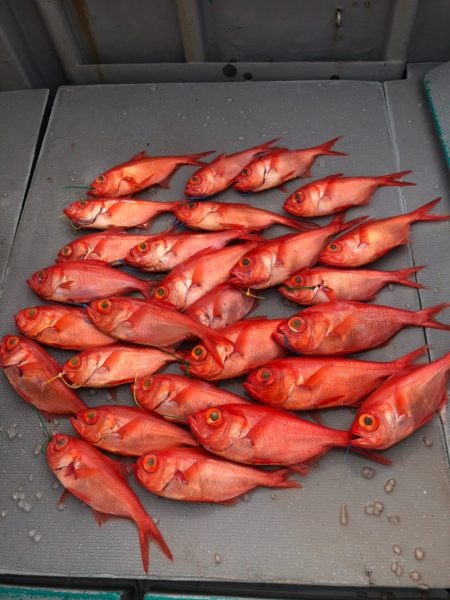 ＴＡＲＯＭＡＲＵ 釣果