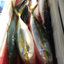 第二八坂丸 釣果