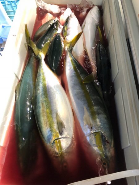 第二八坂丸 釣果