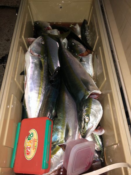 第二八坂丸 釣果