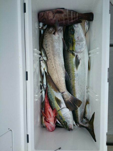 エンペラー 釣果